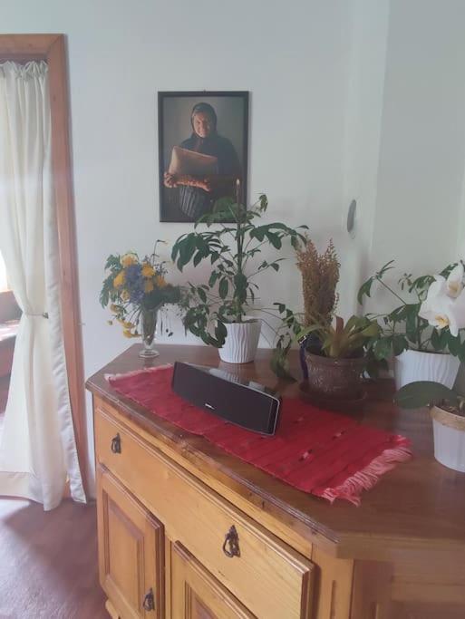 Cemerno Cottage Gacko Exterior photo